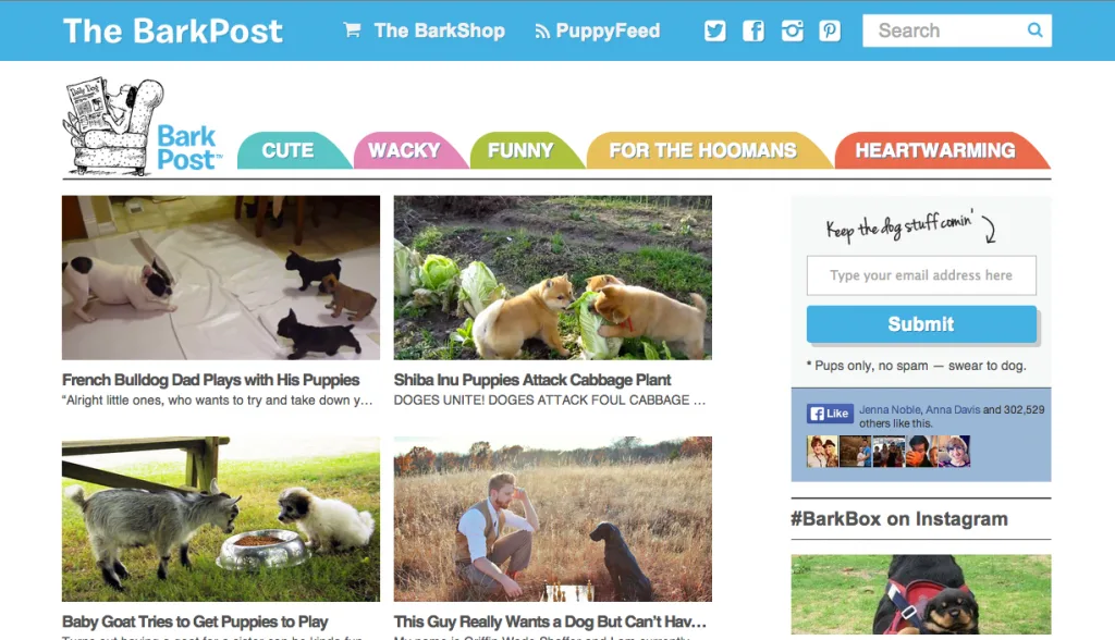 dogblog